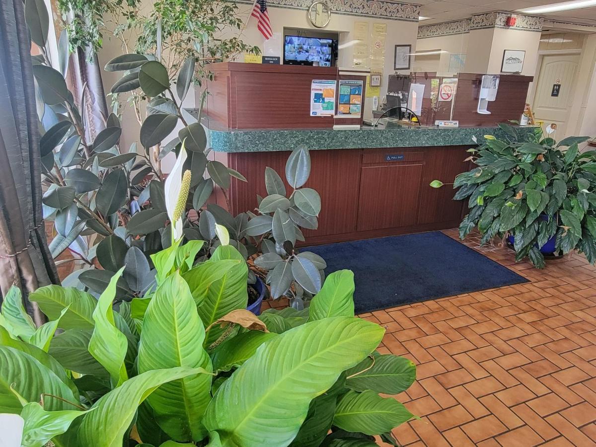 Studio 9 Inn & Suites Decatur Buitenkant foto